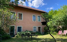 Budapest Garden Hostel